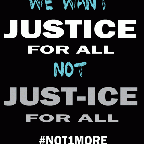 Justice not Just-ICE by Nico Avina